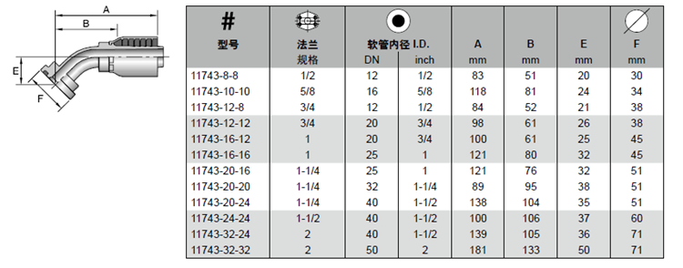 11743 樣本_副本.jpg